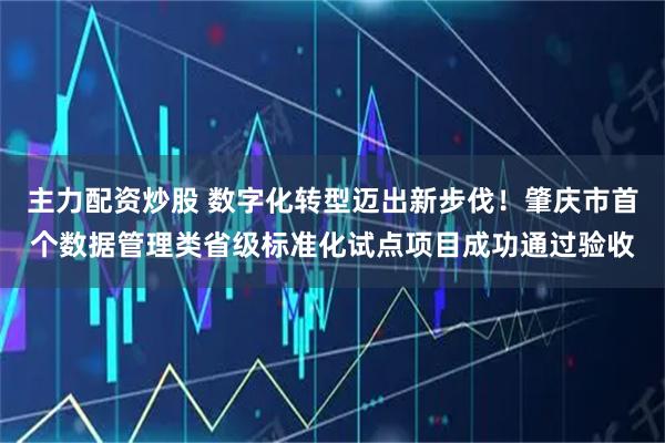 主力配资炒股 数字化转型迈出新步伐！肇庆市首个数据管理类省级标准化试点项目成功通过验收