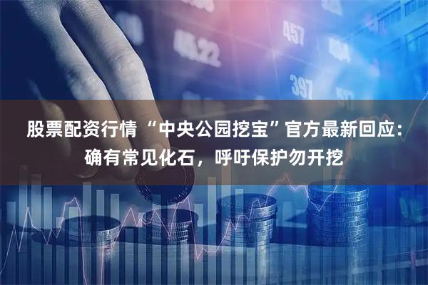 股票配资行情 “中央公园挖宝”官方最新回应：确有常见化石，呼吁保护勿开挖