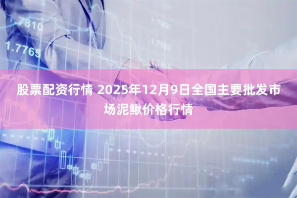 股票配资行情 2025年12月9日全国主要批发市场泥鳅价格行情