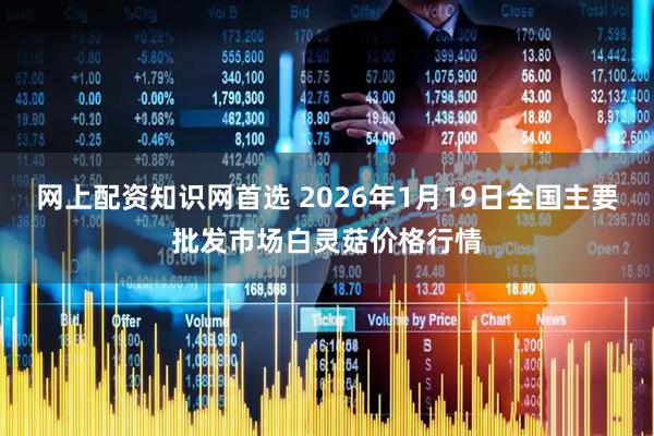 网上配资知识网首选 2026年1月19日全国主要批发市场白灵菇价格行情