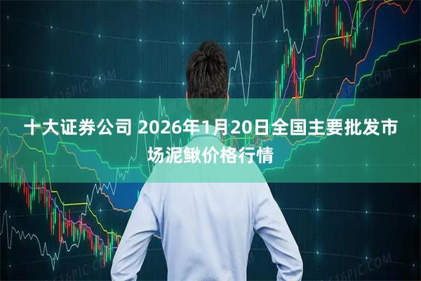 十大证券公司 2026年1月20日全国主要批发市场泥鳅价格行情