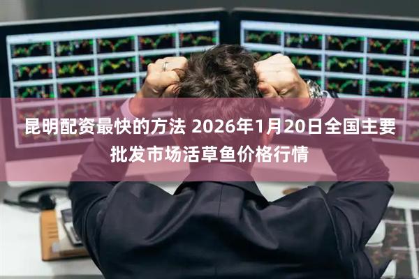 昆明配资最快的方法 2026年1月20日全国主要批发市场活草鱼价格行情
